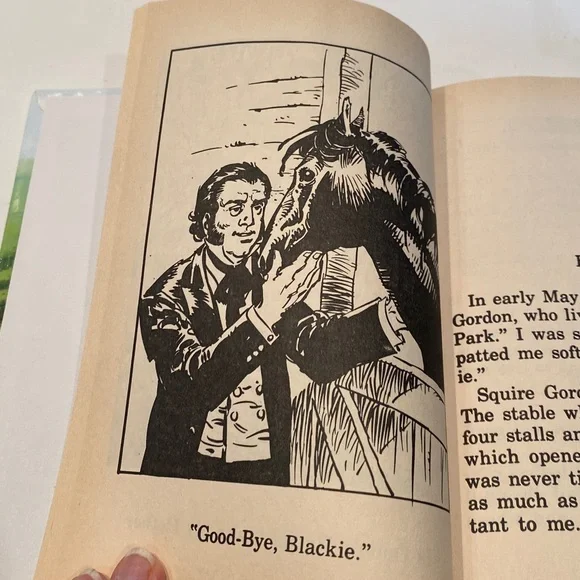 “Black Beauty,” - Picture 3 of 4